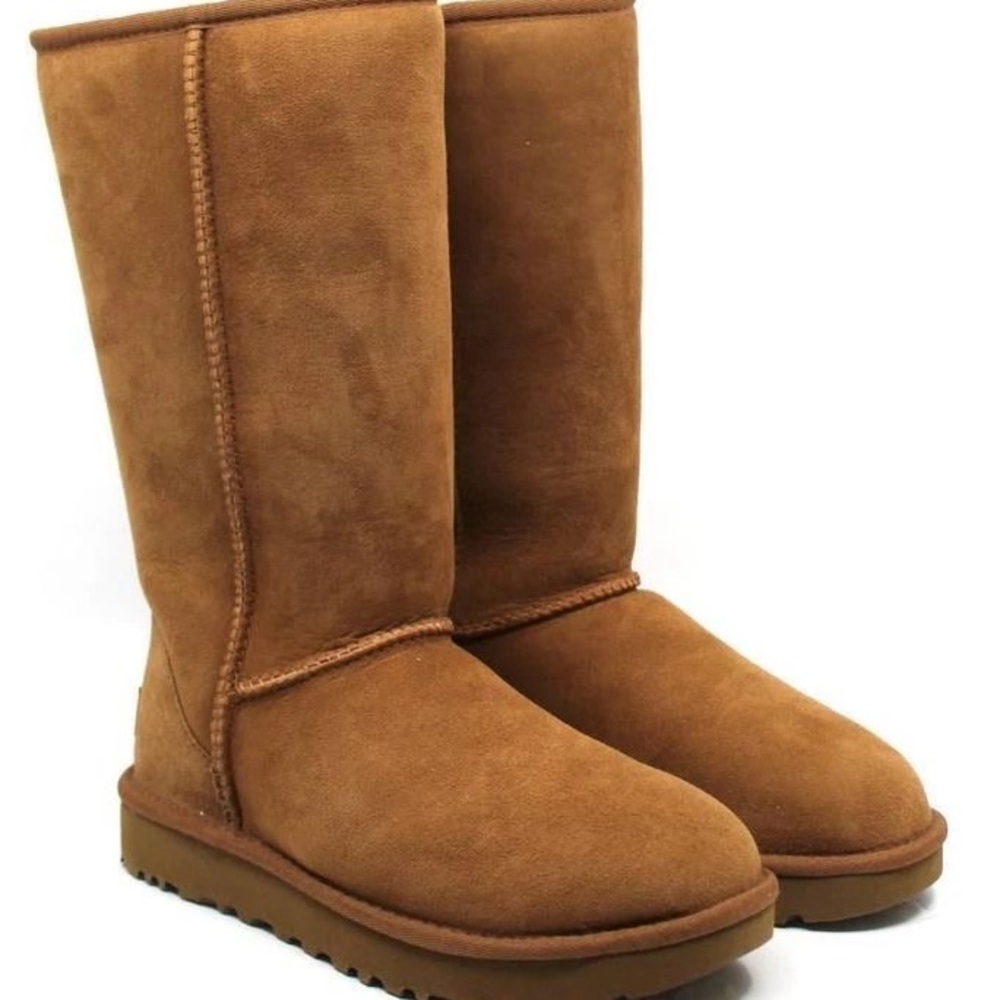 UGG Chestnut Suede Boots
